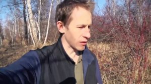 МОЯ ФАЗЕНДА В ЛЕСУ или ГДЕ МОЖНО ПОВЫЖИВАТЬ, АБВГАТ