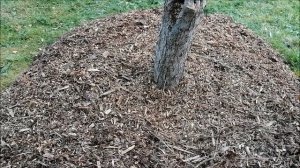 Использование ЩЕПЫ на даче