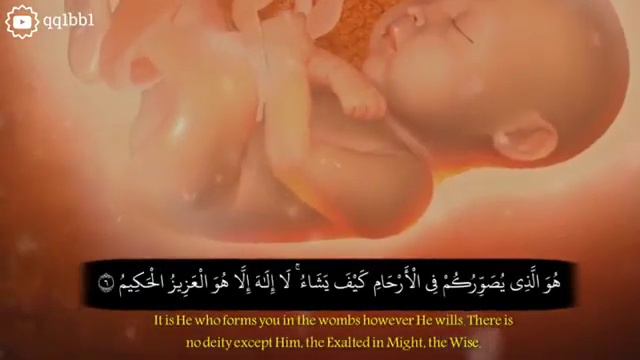 Qari abdurahman masud nice speech #WhatsApp #foryou status смотреть онлайн