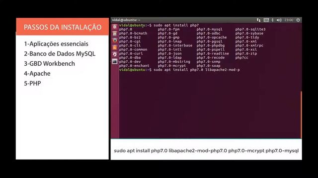 Instalar Servidor Web Local (Linux Version) - #ProfessorVIDAL смотреть онлайн