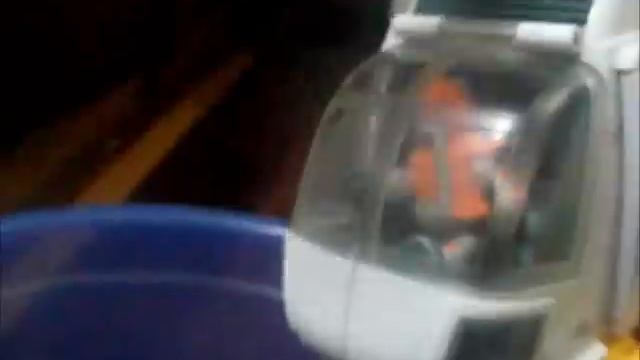 Helicóptero resgata Hamster - Rescued by Helicopter - Hamster Picote смотреть онлайн