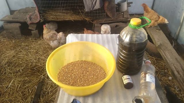 Чудо смесь - для яйценоскости кур. смотреть онлайн