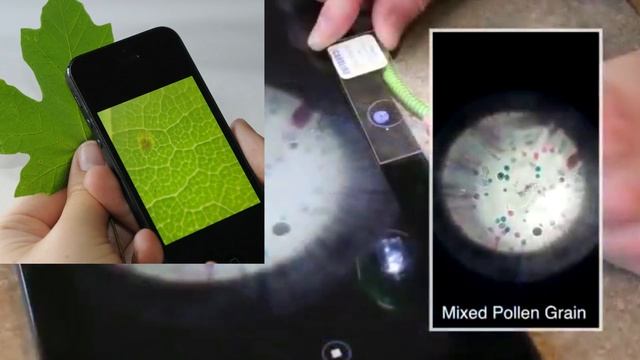 ШОП-НОВОСТИ #18 То что следует купить смотреть онлайн