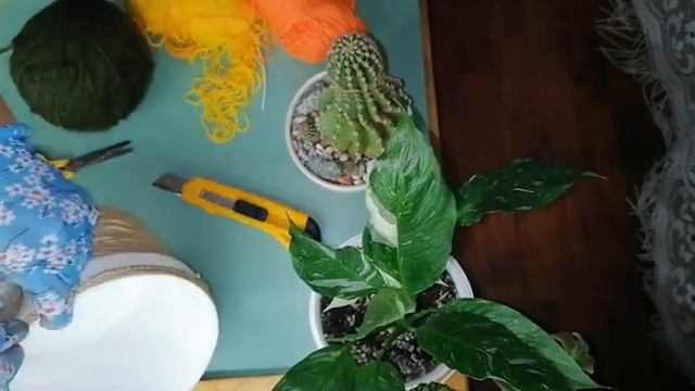?Кашпо своими руками для любимого растения? смотреть онлайн