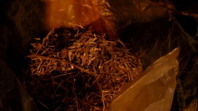 Грибы вешенка, как правильно готовить субстрат по нестерильной - Oyster Mushroom Substrate