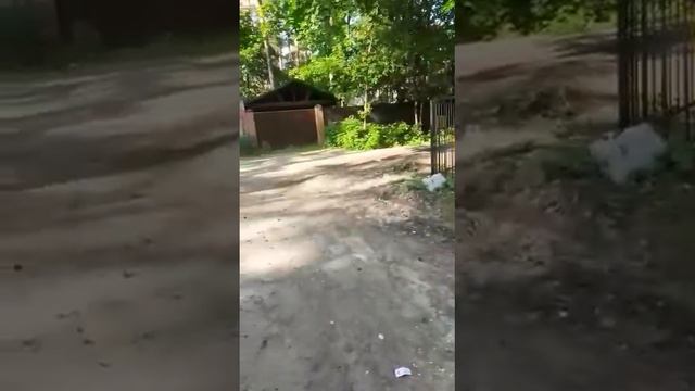 Мусор в поселке Кратово