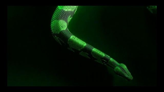 YEAT - JUS BETTER [guitar Cover]