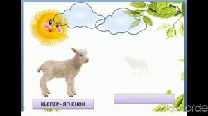 Аварский язык. Урок по теме «Домашние животные»