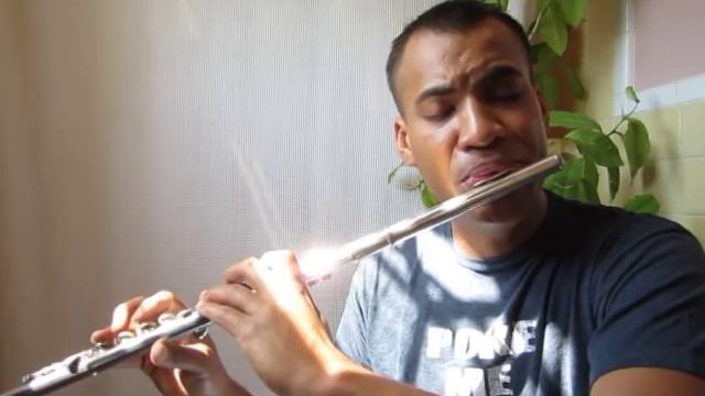'Abwoon (Our Father)' by Lisa Gerrard & Patrick Cassidy, flute cover by Dameon Locklear смотреть онлайн