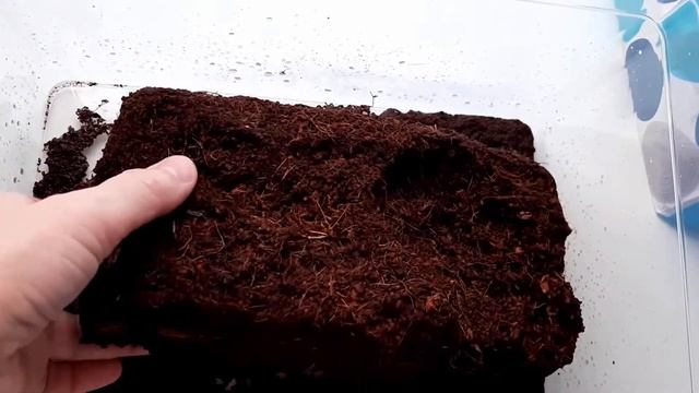 Как приготовить кокосовый субстрат смотреть онлайн