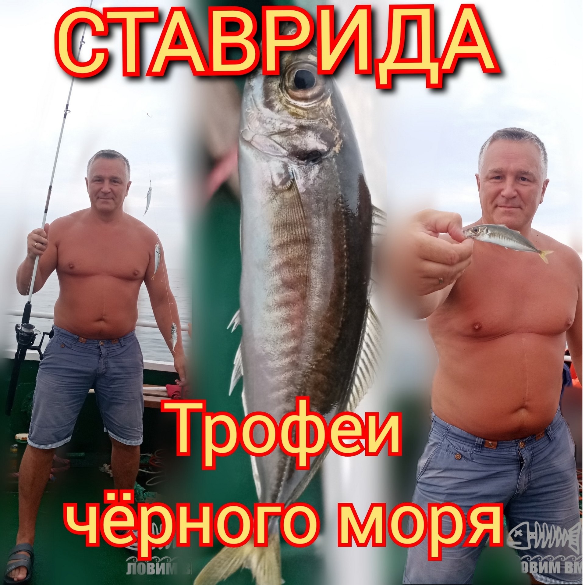 ставрида, трофеи черного моря.mp4