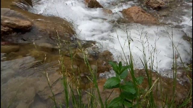 Горный Ручей / Шум Ручья / Релаксация Для Души смотреть онлайн