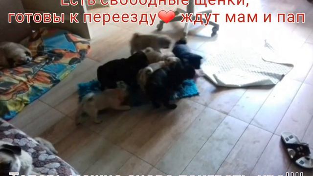 20 сентября 2021 г. смотреть онлайн