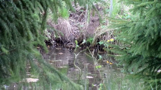 Высадка утиного десанта смотреть онлайн