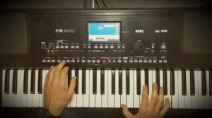 Евдокимов Ярослав - Фантазер на синтезаторе KORG PA300 (Демонстрация стиля)