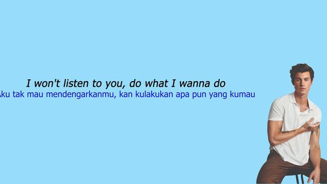 Shawn Mendes - Show You (Lirik Terjemah)