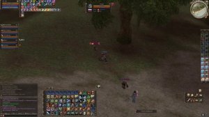 Solo and Party Pvp Hell Knight  - Scryde  x1000  Lineage 2