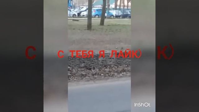 ШОУ!УКРАЛИ СКЕЙТ У ДЕВОЧКИ смотреть онлайн