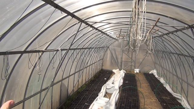 Теплицы из поликарбоната, возникшие проблемы и их решения-пролог