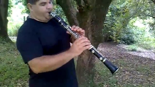Clarinete Selmer Paris Brevett Ébano com Boquilha Charles Bay смотреть онлайн