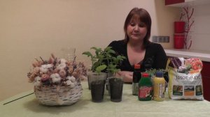 #17 ПОДКОРМКА РАССАДЫ. ГОТОВИМ ПИТАТЕЛЬНЫЙ РАСТВОР!