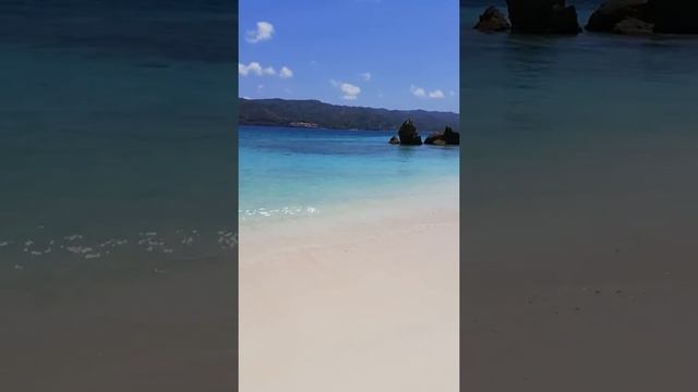 Остров Бакарди смотреть онлайн