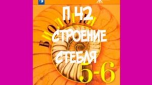 5-6 КЛАСС П 42 СТРОЕНИЕ СТЕБЛЯ / КАМБИЙ / ПРОБКА / ДРЕВЕСИНА / СЕРДЦЕВИНА