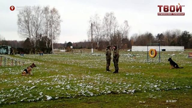 Встретились и подружились. смотреть онлайн