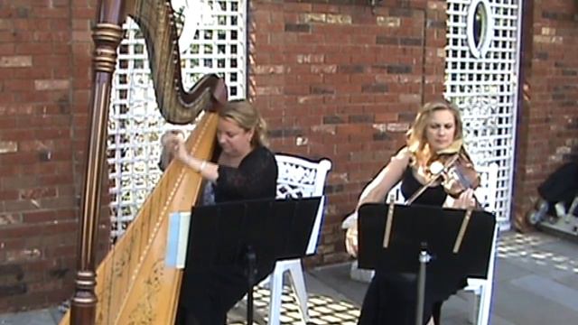Violin And Harp Duo