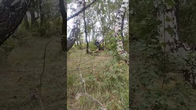 а вдруг медведь смотреть онлайн