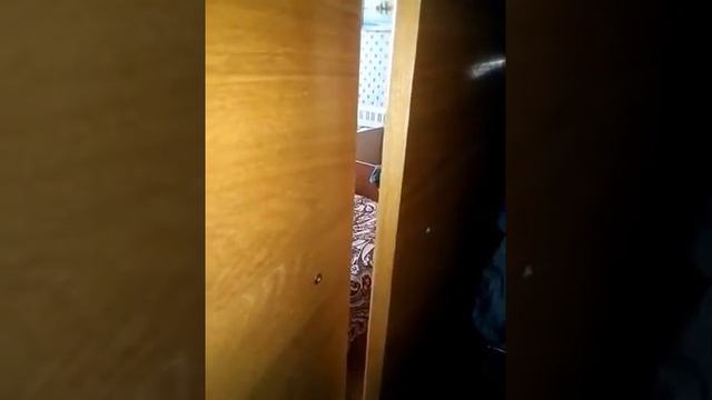 Что лучше попросить на новый год ps4 xbox360 xbox one или игру смотреть онлайн