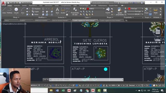 Megapack FREE de Arboles y Arbustos para Autocad 3D Max y Photoshop BONUS PDF Especies смотреть онлайн