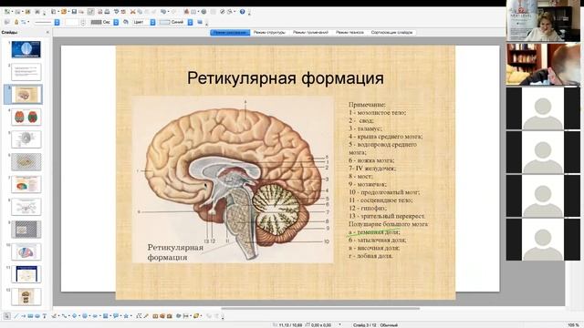 Онлайн мероприятие "Нейрофизиология коучинига" смотреть онлайн
