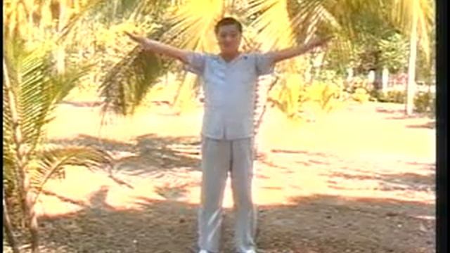 Сhinese Soaring Crane Qigong (Part 2)