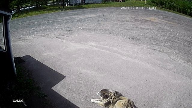 AHD камера 1 МП XM310