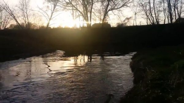 На реке Лопасня