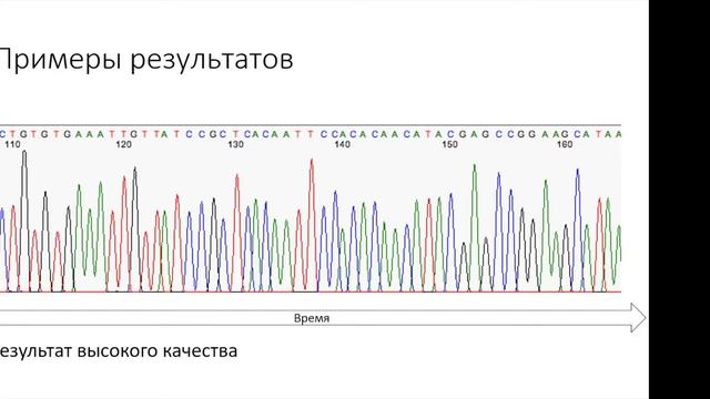 А.Н.Русакович "Секвенирование по Сенгеру..."/A.N.Rusakovich ”Sanger sequencing...” смотреть онлайн