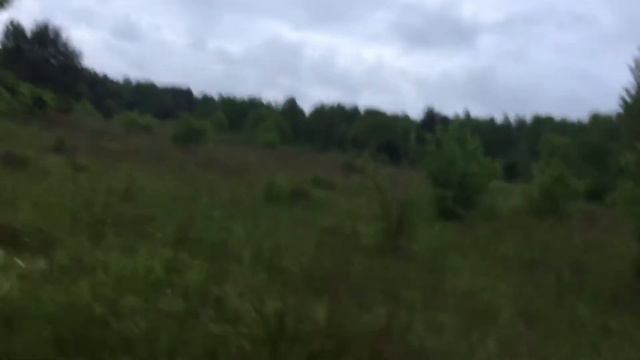 Русская гончая ( узнай, затейка)
