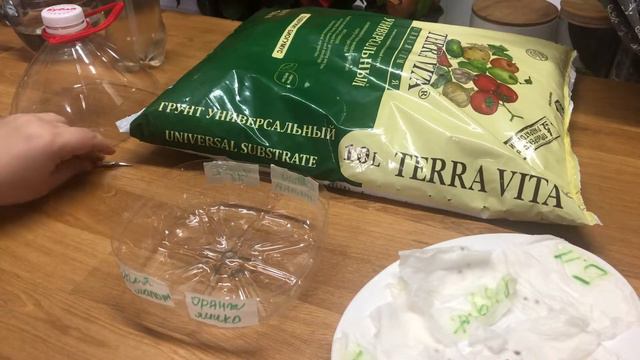 Эксперимент с томатами! Посев томатов на рассаду! смотреть онлайн