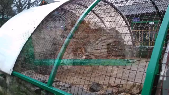 Алтай. Дорога надежды. Февраль 2018. Часть 1 смотреть онлайн