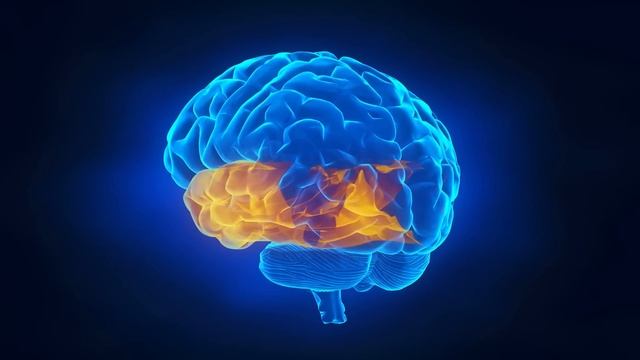 Super Brain Power Classical Music | Mozart | Brain Development смотреть онлайн