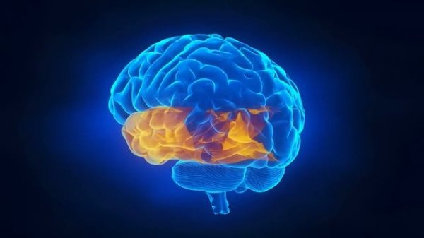 Super Brain Power Classical Music | Mozart | Brain Development