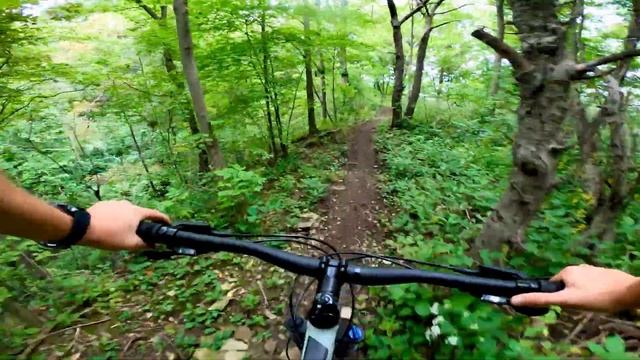XC Trail Riding | Felkers Falls | 2021 Giant Talon 2 | 4K смотреть онлайн