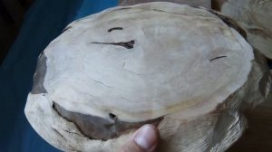 Про спилы  Сувель березы, сосны и вяза  Обработка тунговым маслом