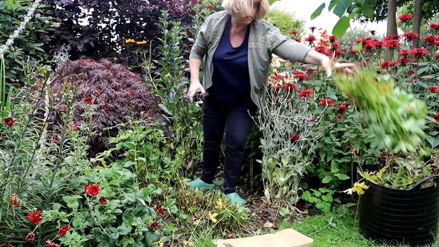 Summer Cut Back || Which Perennials & How || Beyond Deadheading смотреть онлайн