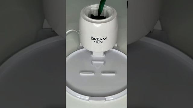 How To Make Spirulina Face Mask With The Dream Skin