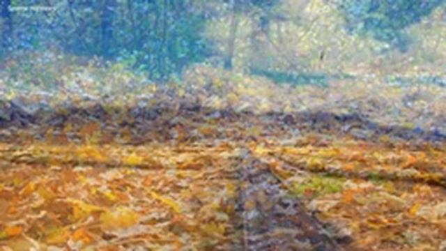 Нежная лечебная музыка здоровья и для успокоения нервной системы, глубокого релакса #51 смотреть онлайн