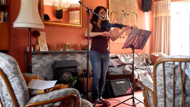 Counting Stars - Natasha XH Violin loop