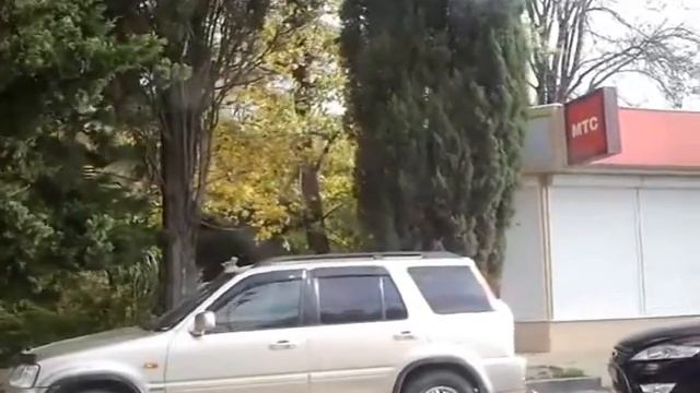 Сочи.Хоста 3.12.12г смотреть онлайн