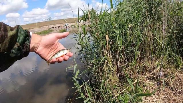 Дроп-шот.Джиг-риг. Попла-поппер. Рыбалка в поисках ТРОФЕЯ.Рыбалка на спиннинг. смотреть онлайн
